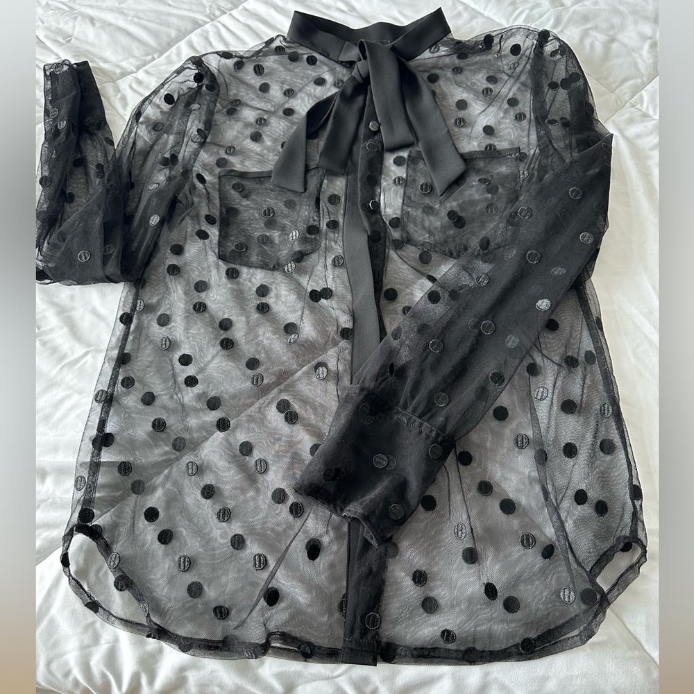 J Crew, shear polkadot blouse, with tie neck - size S